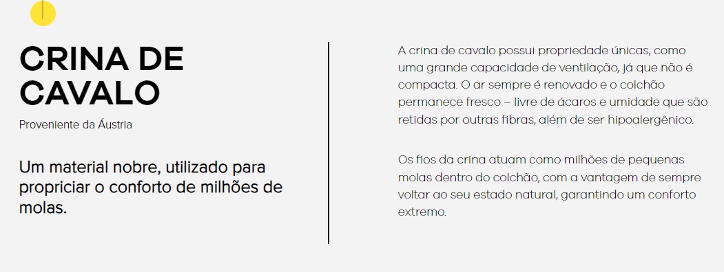 WhatsApp Image 2024-10-08 at 11.12.49