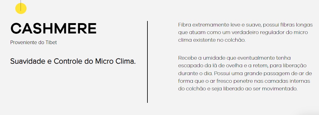 WhatsApp Image 2024-10-08 at 11.15.58