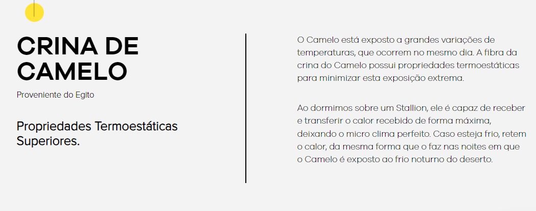 WhatsApp Image 2024-10-08 at 11.20.03